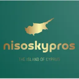 Website preview